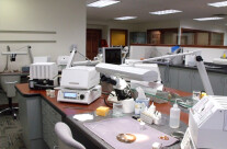 Green Dental Laboratory